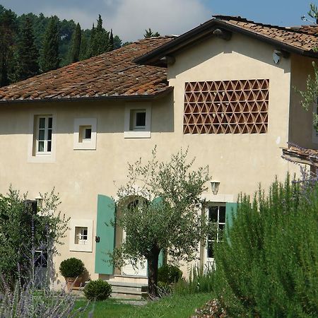 Agriturismo Mareli Villa Camaiore Exterior foto
