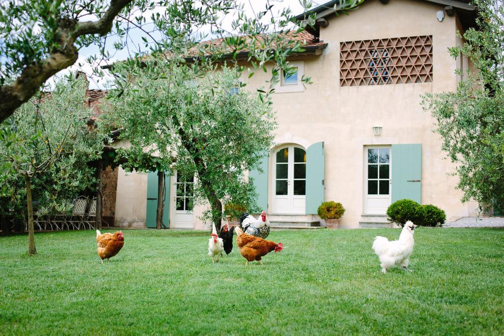 Agriturismo Mareli Villa Camaiore Exterior foto